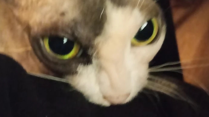 тик ток 1 смотреть онлайн