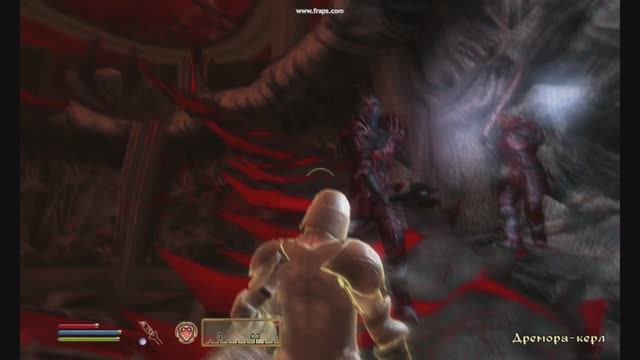 The Elder Scrolls OBLIVION (7)