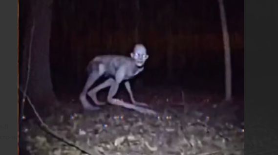 Активные поиски ЗАРАЖЕННОГО-0. «Записи об аномалиях от К.О.Н.Т.У.Р" ЗАПИСЬ 118. смотреть онлайн