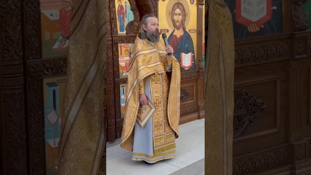 Проповедь отца Павла на Поздней Литургии 01.02.2026г. смотреть онлайн