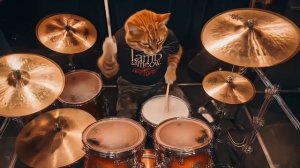 Lamb of Meow - Fed to Rest ｜ Live at Rock & Roar 2026