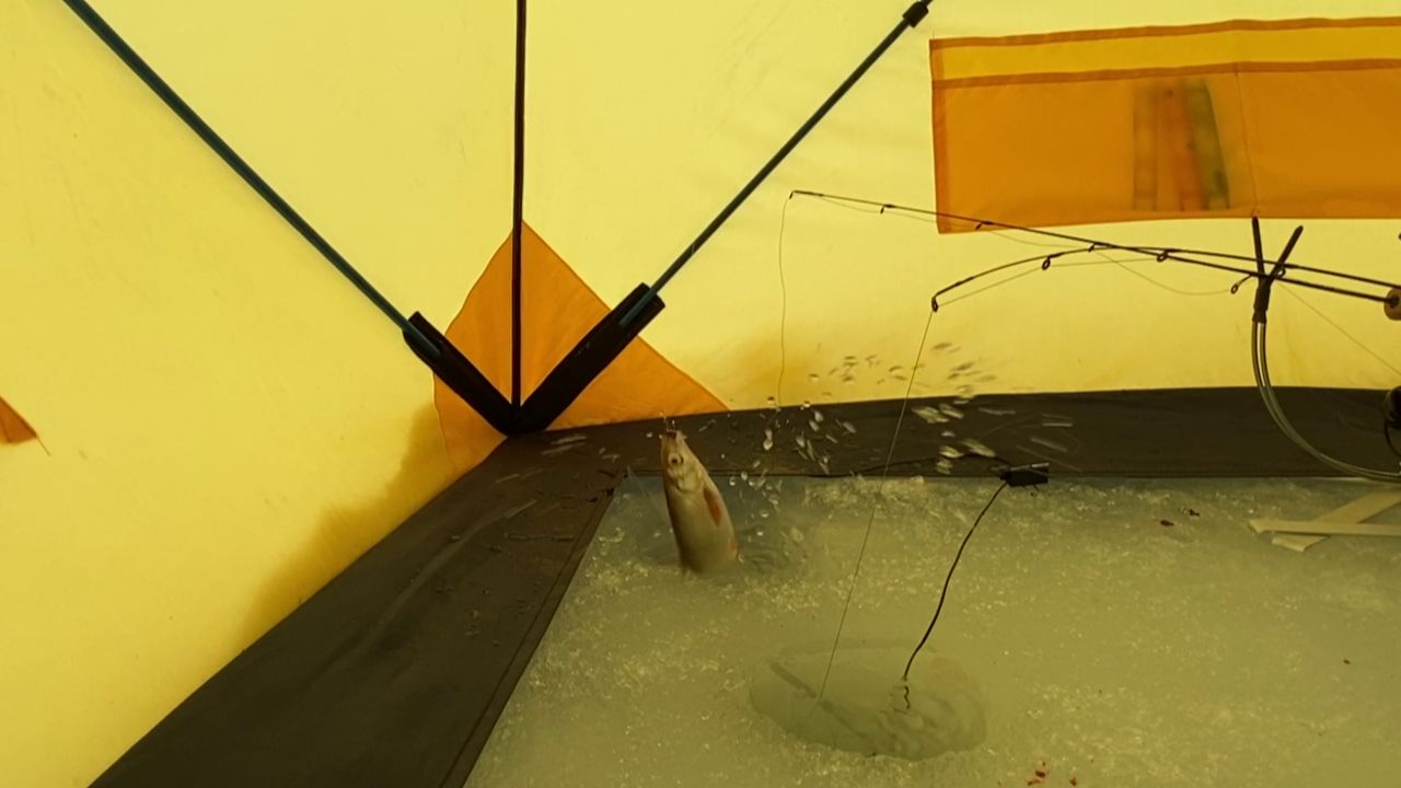 ЛУЧШАЯ СНАСТЬ НА ЕЛЬЦА смотреть онлайн