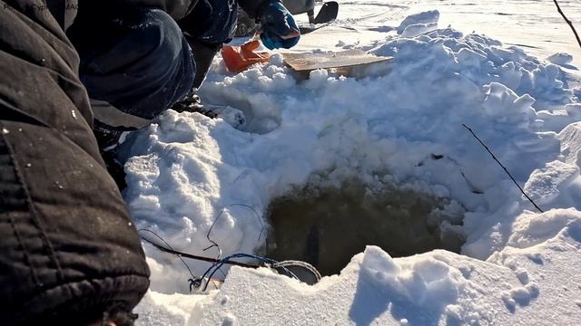 Жерлицы проверка. 12 день. смотреть онлайн