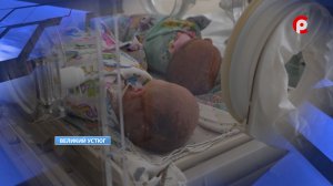 Королевская двойня