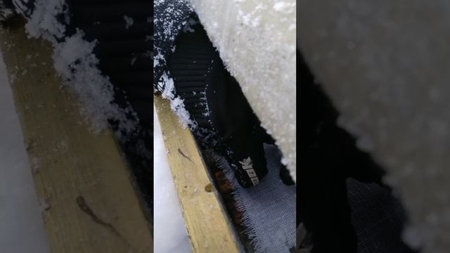 в конце 2025 года смотрю пчел.mp4 смотреть онлайн