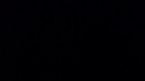 Машина прибыла к нам на эвакуаторе