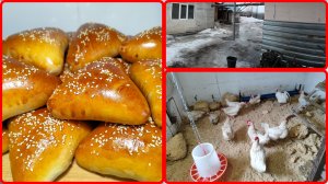 18.02.2026 // Стряпаю пирожки // Навожу порядок в курятнике // Журчат ручьи