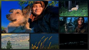 Первая одиночная ночевка на вершине горы, рядом с косулями [25л №7] [мТ] [н2]