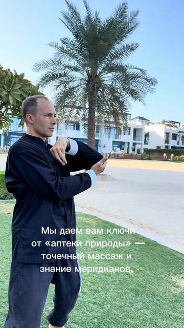 Курс DAO MASTERS