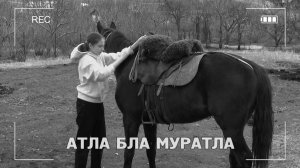 «Атла бла муратла» («Кони и мечты»)