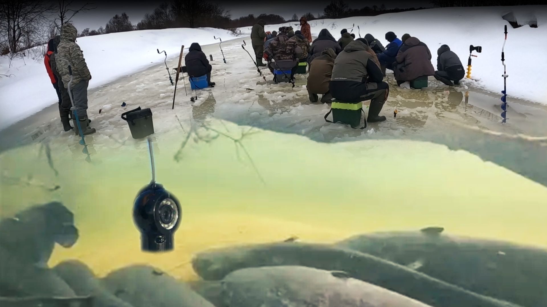 Зимняя рыбалка на судака. ОПУСТИЛ КАМЕРУ В ЛУНКУ И ОБАЛДЕЛ, Сомы, Лещи, Судаки. Подводная съемка смотреть онлайн