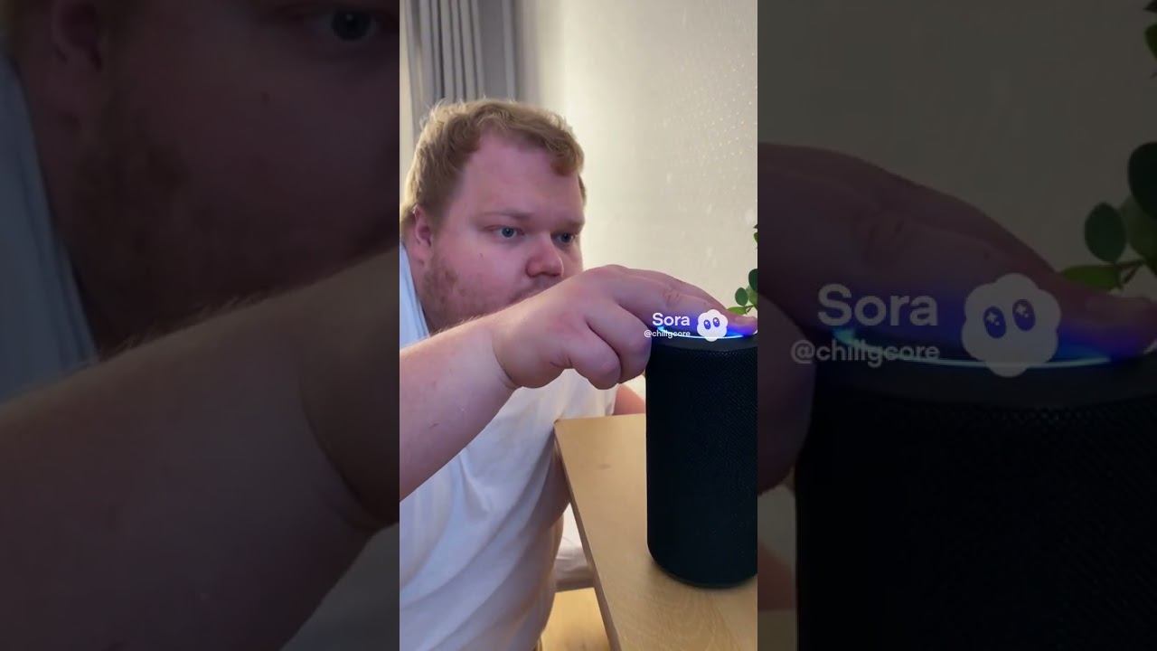 Опоздал с мемом #sora #сора #тохаt2x2 #тоха #tt #tiktok