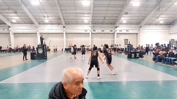 Вотерлу Тигры