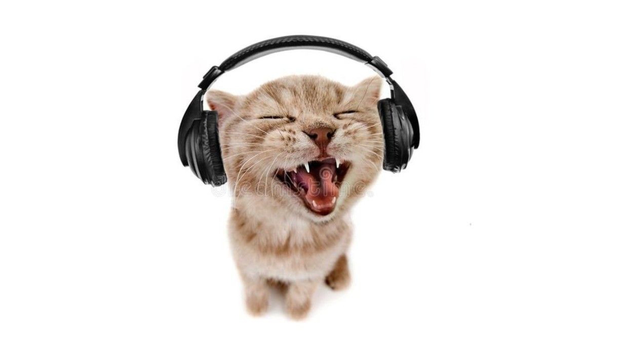 новинки бумажной косметики 🪷 смотреть онлайн