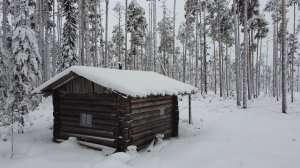 ПОЕХАЛ В ДЕРЕВЯННУЮ ИЗБУ НА ТРИ НОЧИ. РЫБАЛКА НА ЖЕРЛИЦЫ. СБЕЖАЛ ИЗ ЦИВИЛИЗАЦИИ НА КРАЙ СВЕТА.
