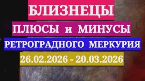БЛИЗНЕЦЫ: "СОБЫТИЯ от РЕТРОГРАДНОГО МЕРКУРИЯ c 26 ФЕВРАЛЯ по 20 МАРТА 2026 года"!!!
