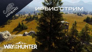 Way of the Hunter | Охота с лабаза | 11