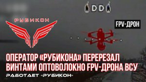Донбасс. Оператор FPV-дрона «Рубикона» обнаружил дрон-камикадзе и винтами перерезал кабель