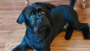 ДОБРОЕ УТРО)