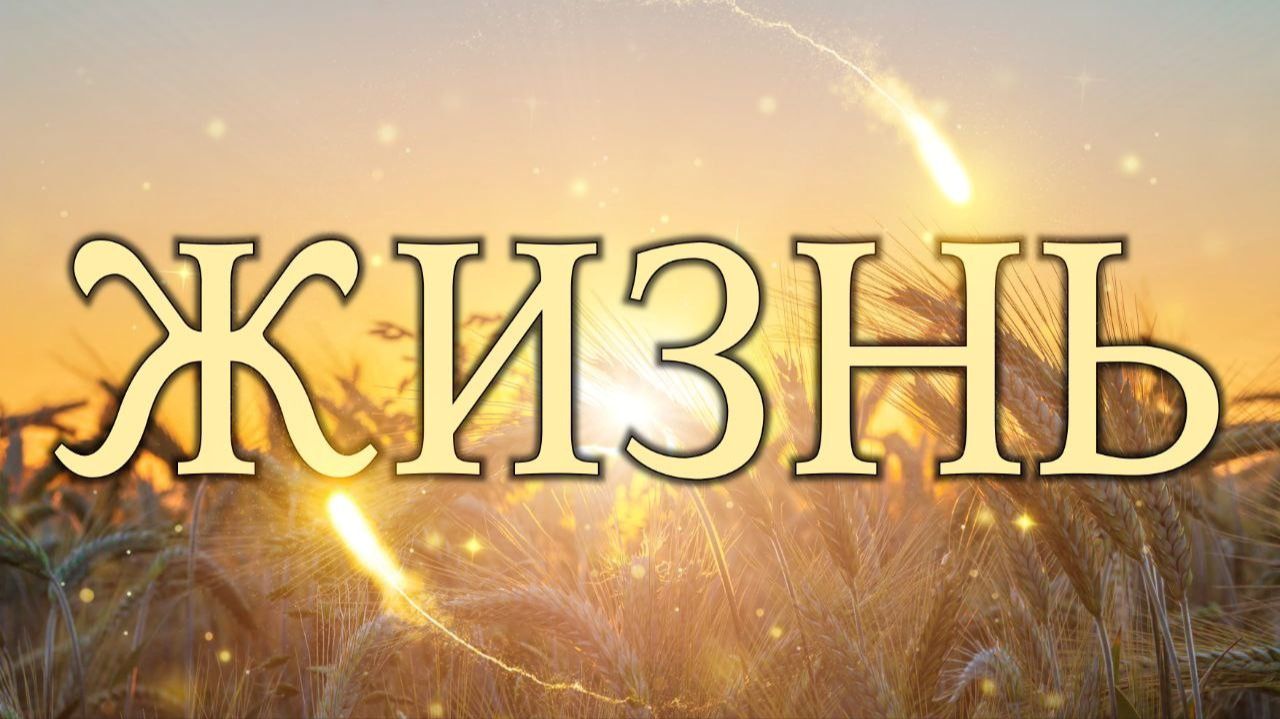 Жизнь (Бог не ждёт, когда ты станешь идеальным). смотреть онлайн