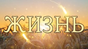 Жизнь (Бог не ждёт, когда ты станешь идеальным).