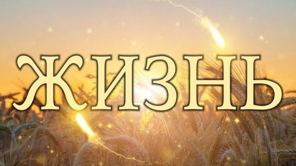 Жизнь (Бог не ждёт, когда ты станешь идеальным).