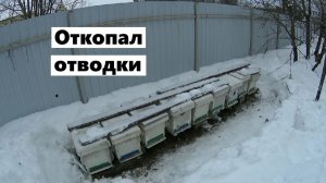 Зимовка отводков на 16 февраля.