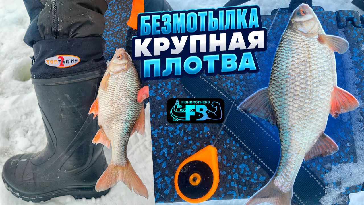 РЫБА НЕ ВЛЕЗАЕТ В ЯЩИК! Наловили по полному ящику за пару часов, рыбалка мечты! смотреть онлайн