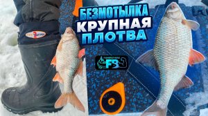 РЫБА НЕ ВЛЕЗАЕТ В ЯЩИК! Наловили по полному ящику за пару часов, рыбалка мечты!