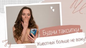 Первая и последняя перевозка животных в такси! Неадекватные пешеходы. Реальный заработок в такси