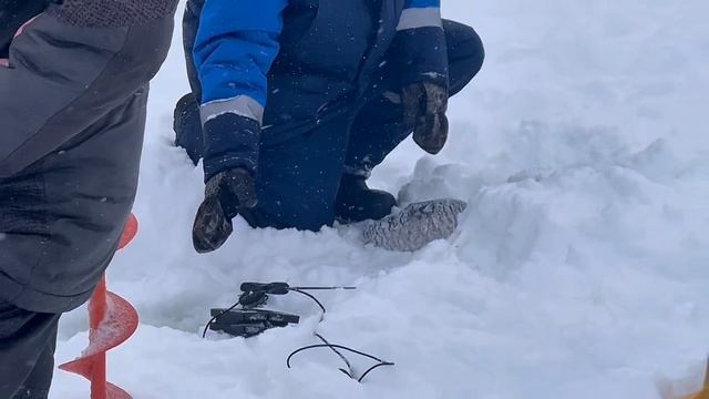 copy_33FC3E44-6FD8-4CCE-861A-26B779E6B438 смотреть онлайн