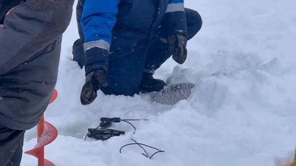 copy_33FC3E44-6FD8-4CCE-861A-26B779E6B438