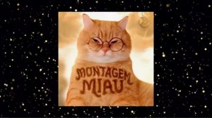 ФОНК 3 ТОП ФАНК/ФОНК 2026