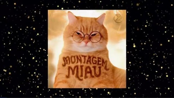 ФОНК 3 ТОП ФАНК/ФОНК 2026