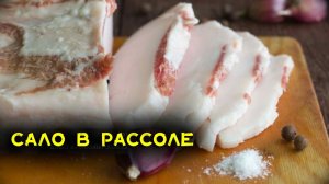 Домашнее сало рассоле. Самый удачный рецепт, что я пробовал. Получается мягким и ароматным
