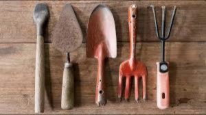 21 февраля - Захар серповидец.Традиции и народные приметы