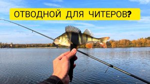 ОТВОДНОЙ ПОВОДОК. ПОСТАВИЛ И НАЧАЛ ЛОВИТЬ? НАШЕЛ РАБОЧУЮ ПРИМАНКУ.