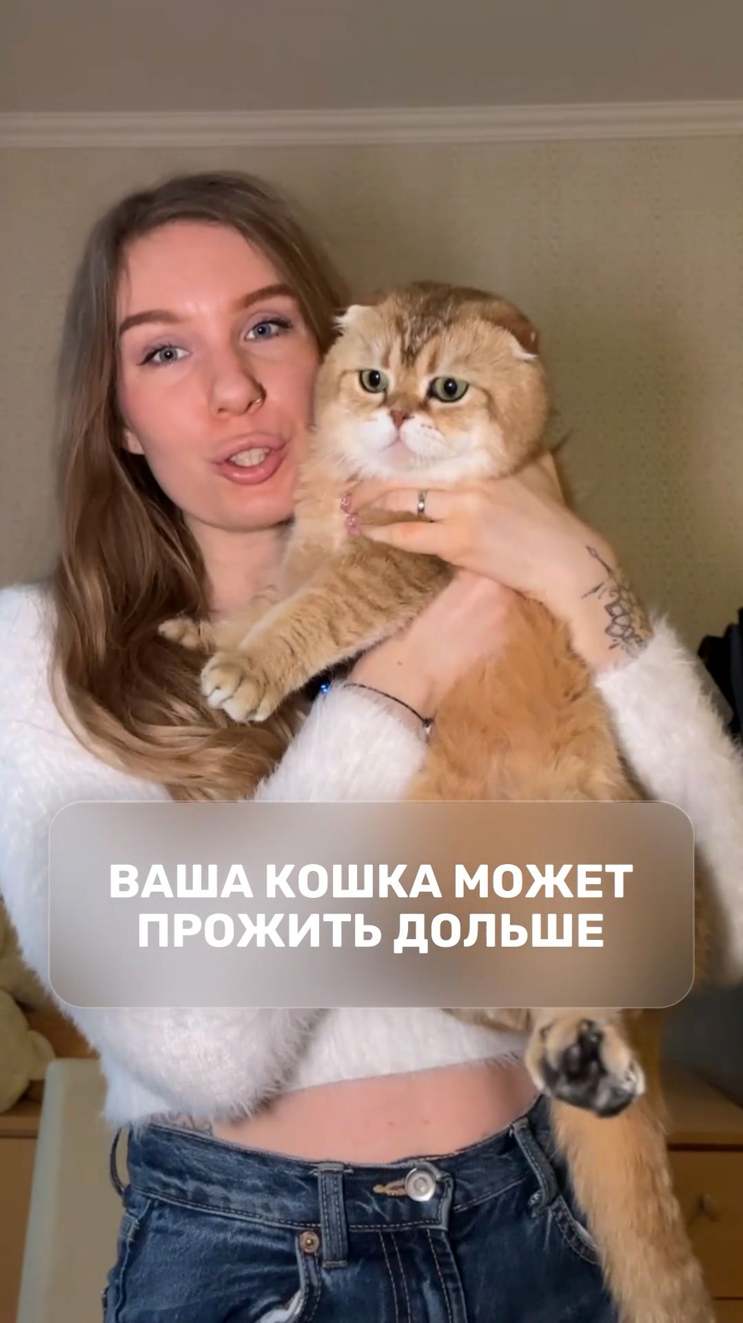 Ваша кошка может прожить дольше