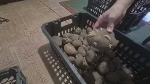 Проводили её в последний путь, теперь она на постоянном месте.