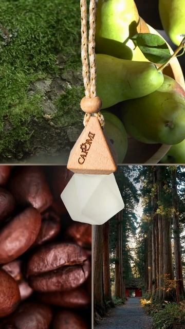 Подарочный набор автопарфюма