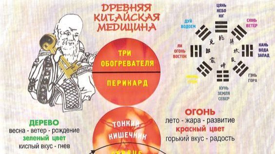 Школа здоровья 13.02.2026 Казань