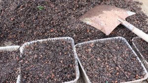 Готовлю ПРАВИЛЬНЫЙ  грунт для рассады.