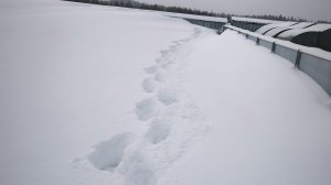 Еду, пою и болтаю обо всем!