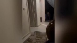 02 // Приколы на Rutube — Смех без пауз 😜  // Юмор 2026