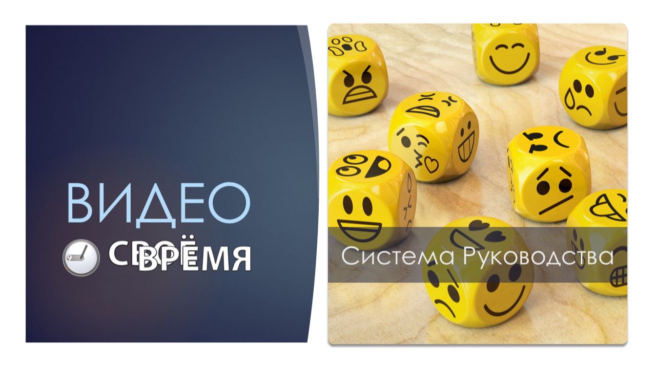3. Система руководства