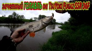 Ловля голавля. Голавль атакует 35. Поклевки голавля на спиннинг.