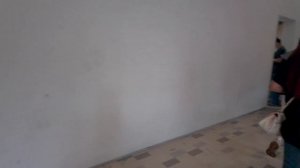 НОЧНОЙ МАНИЛА-БЭЙ 2026: Тур по набережной у залива и торговому центру