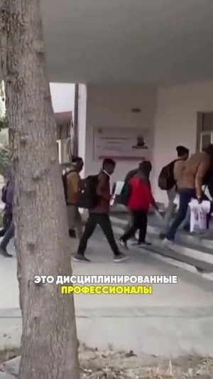 Сколько стоит мигрант бюджету?