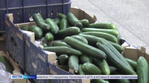 Огурец по цене крыла самолёта: антимонопольщики проверят торговые сети Кузбасса