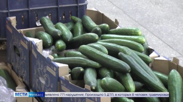 Огурец по цене крыла самолёта: антимонопольщики проверят торговые сети Кузбасса